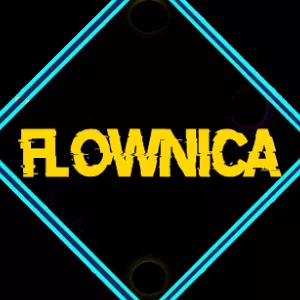 Logo de FlowNica
